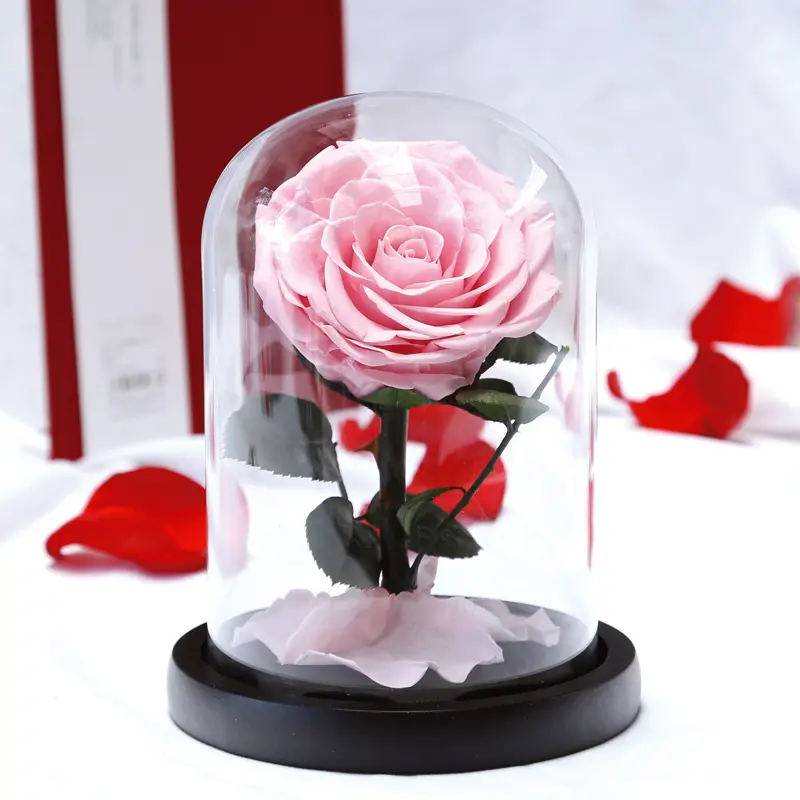 Preserved Rose In Glass Wholesale Real Preserved Rose In Glass Dome Decorative Flowers For Festive Party Valentine's Day