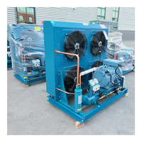 Luchtgekoelde condensorunit met zuigercompressor voor koude opslag, versvriezen, dubbele hoog-efficiënte warmteafvoer