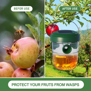 Piège à abeilles Piège à insectes volants à énergie solaire Solution durable pour les moustiques Puces Mouches à fruits - Product Image 2