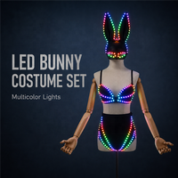 Costume de lapin LED avec éclairage RGB, ensemble soutien-gorge et culotte lumineux, masque de lapin inclus, pour danseuses Gogo, boîtes de nuit, bars, scènes et spectacles.