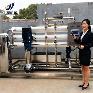 Hoàn toàn tự động thẩm thấu ngược Hệ thống lọc nước RO trạm xử lý nước với cát và than hoạt tính lọc - Product Image 1