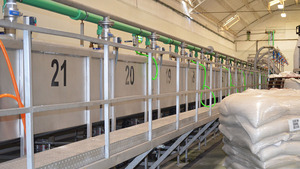 La fornitura diretta In fabbrica può alimentare fagioli di burro bianco con Private Label rene bianco confezionato In un barattolo di funghi Shitake