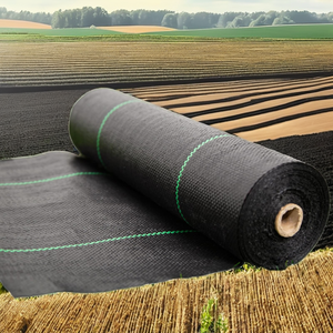 Film de paillage plastique en PP tissé résistant aux UV pour serres agricoles commerciales, tissu paysager en PE découpé sur mesure pour le contrôle des adventices - Product Image 2