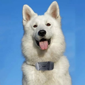 Không Thấm Nước Mới 4 Gam GPS Dog Tracker Cá Nhân Heart Rate Điều Khiển Từ Xa Dog Đào Tạo Thiết Bị 4 Gam Pet GPS Tracker Sản Phẩm Vật Nuôi - Product Image 5