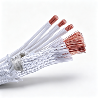 Câble conducteur 075/15/25/4/6/10/16/25 mm² Livraison gratuite GN500 Fil de silicone isolé au mica résistant aux hautes températures 500°C