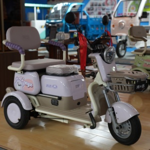 Tricycle d'extérieur à 3 roues, deux places, tricycle pour adultes avec passager - Product Image 5