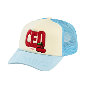Casquette de camionneur en toile à 5 panneaux personnalisée |   Casquette streetwear premium avec dos en mesh respirant - Product Image 1