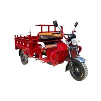Mini Chinese Truck, Gas Powered Adult Tricycle