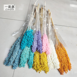 Bella Naturale Secca Sorgo Bouquet Conserve di Sorgo Fiore pianta - Product Image 2