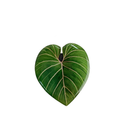 Usine Directe Composants Personnalisés Plantes Artificielles Verdure Fleurs Sublimation Plafond Décoration Mur Plantes Réfrigérateur Aimant