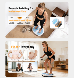 CZFIT Plateforme de torsion abdominale pour la maison, pour massage, exercice de tension abdominale et entraînement de fitness abdominal - Product Image 6