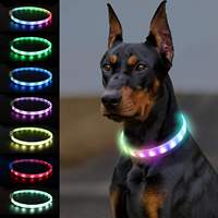 Collier pour chien personnalisé en silicone souple avec éclairage LED, rechargeable par USB, étanche, collier lumineux pour animaux de compagnie, collier anti-perte pour chien et chat, collier pour animaux de compagnie pour la nuit