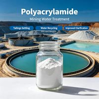 Proveedores de Poliacrilamida a Precio de Fábrica en China para Deshidratación de Residuos y Procesamiento de Minerales