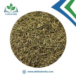 Segmentos de hojas de Romero verde seco orgánico, hierba saludable, una sola especia para condimentos de barbacoa, sabor picante, procesamiento crudo - Product Image 3