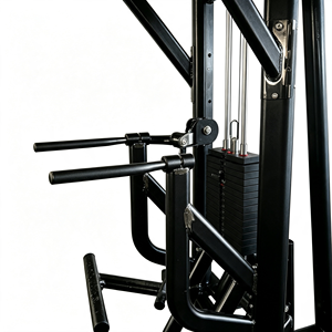 BL2006 Appareil de fitness multifonctionnel réglable et très vendu, station d'entraînement intégrée multi-positions pour le renforcement du dos, usage commercial - Product Image 4