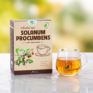 ชาสมุนไพร NMPT ยี่ห้อ Solanum Procumbens แบบซอง บรรจุภัณฑ์ขายส่ง ชา Ca Gai Leo สำหรับเครื่องดื่มสมุนไพร คุณภาพส่งออกจากเวียดนาม - Product Image 1