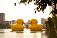 Canard gonflable géant, canard gonflable jaune, canard gonflable personnalisé