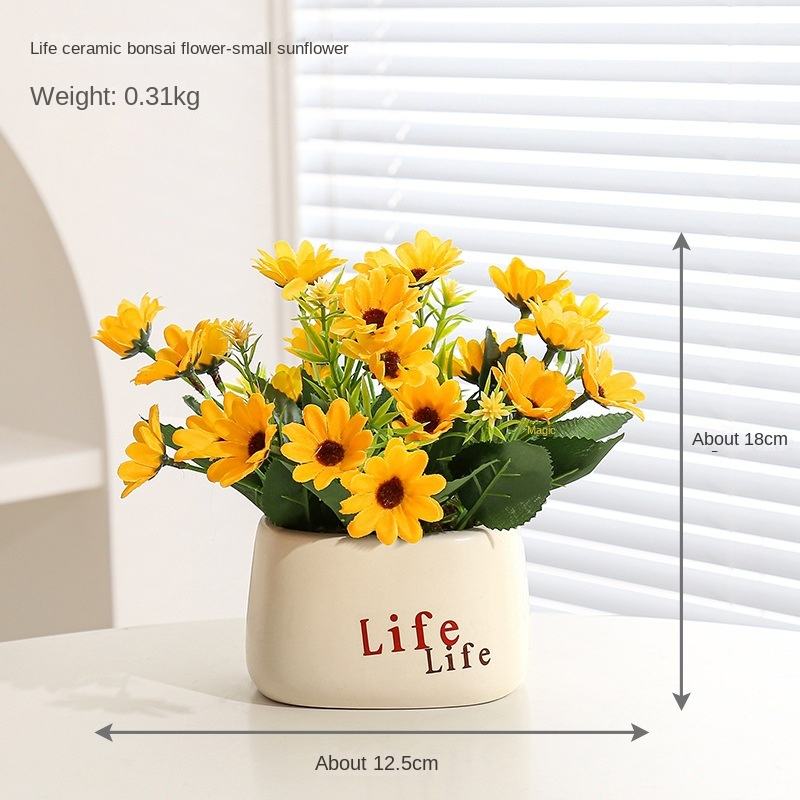 6-Petit tournesol-Pot de vie