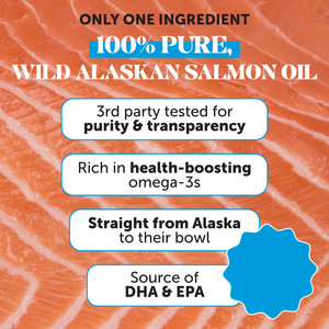 Suplemento de Aceite de Salmón Salvaje de Alaska OEM/ODM <span class=keywords><strong>para</strong></span> Perros y Gatos - Omega-3 EPA y DHA <span class=keywords><strong>para</strong></span> la Piel y el Pelaje, Control de <span class=keywords><strong>Pulgas</strong></span>, Apoyo Inmunológico, Salud Cerebral y Cardíaca - Product Image 3