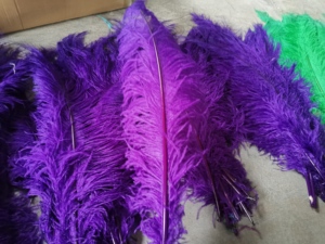 Plumes d'autruche en vrac, plumes rouges, bleues, blanches, spads blanches pour le carnaval, offre spéciale - Product Image 2