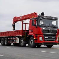 Camion-grue SHACMAN 8x4 400 ch, grue télescopique Sany Palfinger de 14 tonnes, hauteur de levage maximale de 20,5 m
