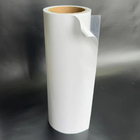 Papier pour assiettes auto-adhésif réutilisable