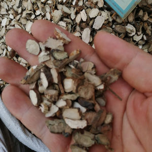 Raiz de Acorus <span class=keywords><strong>Calamus</strong></span> Seco Shui Chang Pu à Venda - Product Image 1