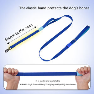 Tali anjing pelatihan dengan pegangan ganda tali anjing timbal Slip - Product Image 4