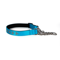 Nouveau collier anti-étranglement pour chiens, design empreinte de patte, en acier inoxydable, demi-chaîne en P, collier anti-perte pour animaux de compagnie