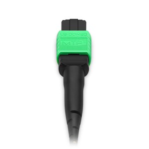 Câble Trunk MTP 5m (16ft) MTP-12 <span class=keywords><strong>APC</strong></span> (Femelle) vers MTP-12 <span class=keywords><strong>APC</strong></span> (Femelle) 36 Fibres OS2 Plenum (OFNP) 0.35dB Max Double gaine - Product Image 4