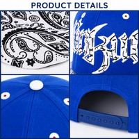 Usine de casquettes snapback imprimées tout-en-un : Logos style graffiti, visières plates à motifs personnalisés, design respirant et absorbant la transpiration