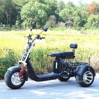 2000w 60v1 2ah/20ah batterie au lithium citycoco gros pneu cee scooters électriques trois roues moto tricycle tricycle tricycle