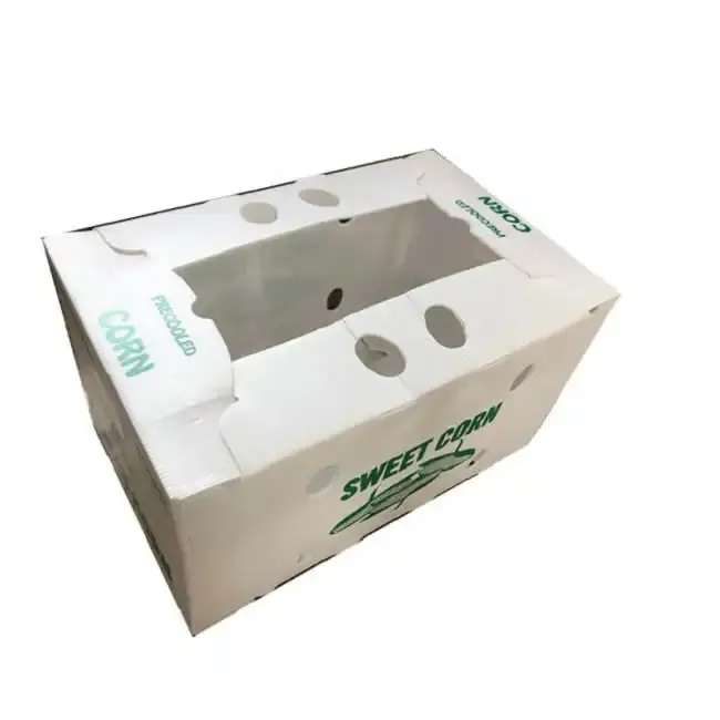 Cajas de verduras caja de plástico corrugado resistente/caja de plástico corrugado PP caja de hoja hueca PP