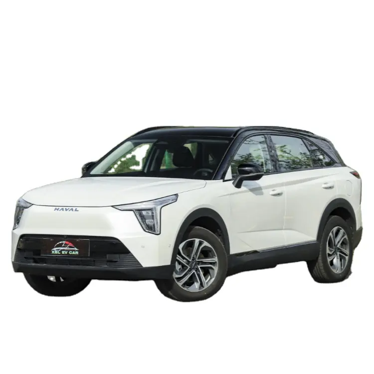 Coche Eléctrico para Adultos BYD Haval Xiaolong Hydrid EV, Coche Eléctrico Usado, Uso Familiar, Vehículo Eléctrico de Cuatro Ruedas