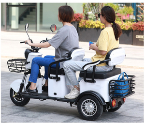 Triciclo Eléctrico de 3 Ruedas con Carrocería Cerrada, Motor sin Escobillas de 600W de Alta Potencia, 48V 20AH, Nuevo Estilo, para Adultos - Product Image 3