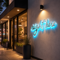 Enseigne lumineuse Halo 3D en miroir argenté avec lettres cursives cyan et rétroéclairage LED pour la décoration murale de la maison, du salon, du café, de la boutique ou du magasin.