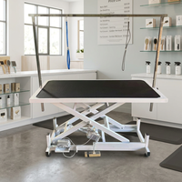 Table de toilettage pour animaux, table de coiffure et de toilettage pour chiens, table de soin du pelage avec élévateur électrique, table de toilettage pour chats et chiens
