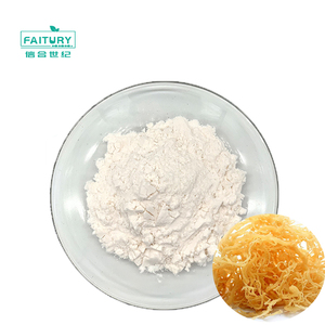 ผงมอสไอริชธรรมชาติ 100% คุณภาพสูง ขายส่งแบบปริมาณมาก - Product Image 2