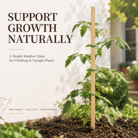 Tuteurs en bambou naturel pointus pour tomates, légumes, fleurs, pots de jardin – Vente en gros