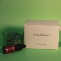 Diffuseur de parfum pierre chambre cadeau Rose vente en gros maison sans feu aromathérapie arôme pierre diffuseur avec ensemble d'huiles essentielles