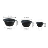 Macetas Redondas de Plástico para Suculentas, Cortas y Planas, para Suculentas en Forma de Tronco, con Aspecto de Resina, en Negro, Terracota y Transparente, Venta al Por Mayor