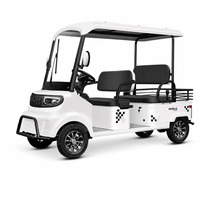 Mini-bus électrique 4 places avec toit à auvent, freins à disque sur 4 roues, certifié CE, chariot de tourisme pour les stations balnéaires, les parcs et les communautés