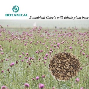 संघटक 10:1 20:1 दूध की थीस्टल अर्क पाउडर <span class=keywords><strong>40</strong></span>% 80% दूध की थीस्टल अर्क पाउडर सिलिमरीन - Product Image 5