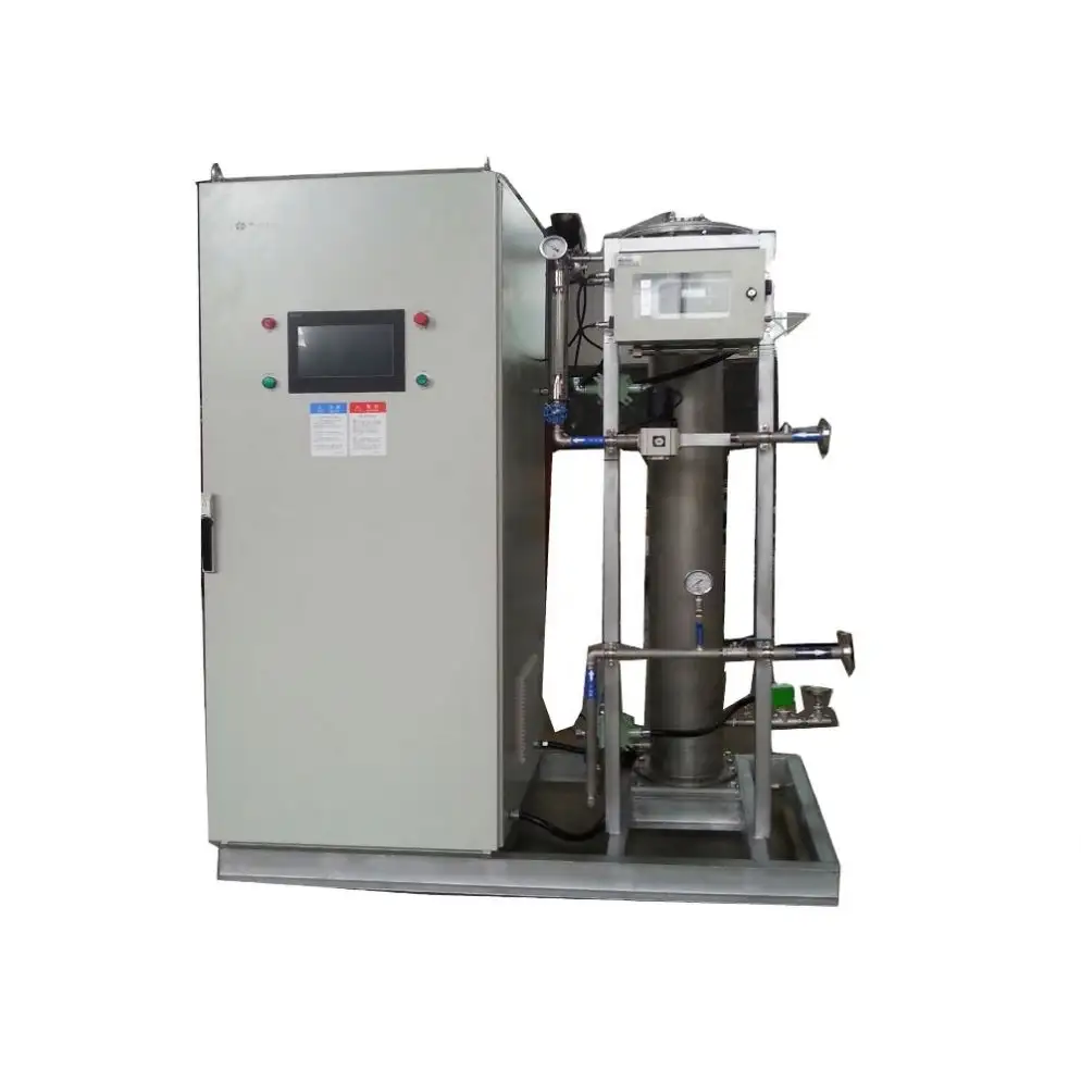 Lavatrice generatore di ozono industriale acqua 100 g/h