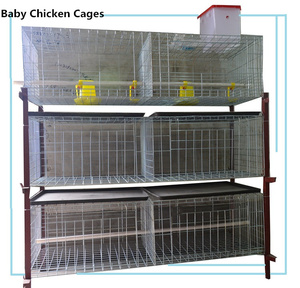 Good Price <strong>Chicken</strong> Breeding Baby Brooder Cages High Quality Galvanized h Type Factory Supplier Direct Sale in Chad Farming - Product Image 3