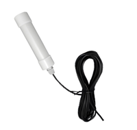 Antenne cellulaire 3G omnidirectionnelle, design étanche IP, antenne de type tuyau pour montage souterrain pour signal cellulaire 3G