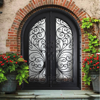 PPD Porte d'entrée double avec pause thermos et deux feux latéraux Sculpture d'art de luxe Conception de porte en fer forgé noir robuste