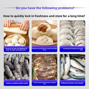 Delingshi Gewerblicher Schockfroster -45°C/-80°C Wählbare Luftkühlplatte für Brötchen, Knödel, Seegurken und mehr - Product Image 2