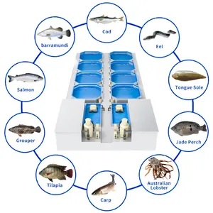 Wholesale fishing equipment for shrimp With Recreational Features 