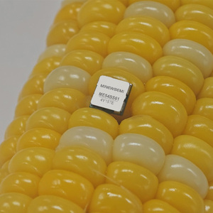 Me54bs61 nrf54l15 mô-đun Bluetooth Le 6.0 lưới 30 GPIO 2.4 GHz giao thức <span class=keywords><strong>BLE</strong></span> mô-đun máy phát hỗ trợ chủ đề vấn đề - Product Image 2